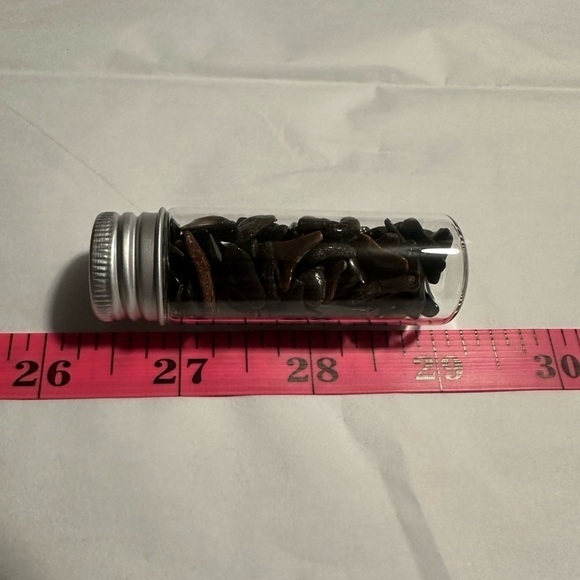 Fossilized Shark Teeth - Picture 8 of 10